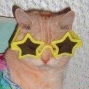 Meet your Posher, Mia